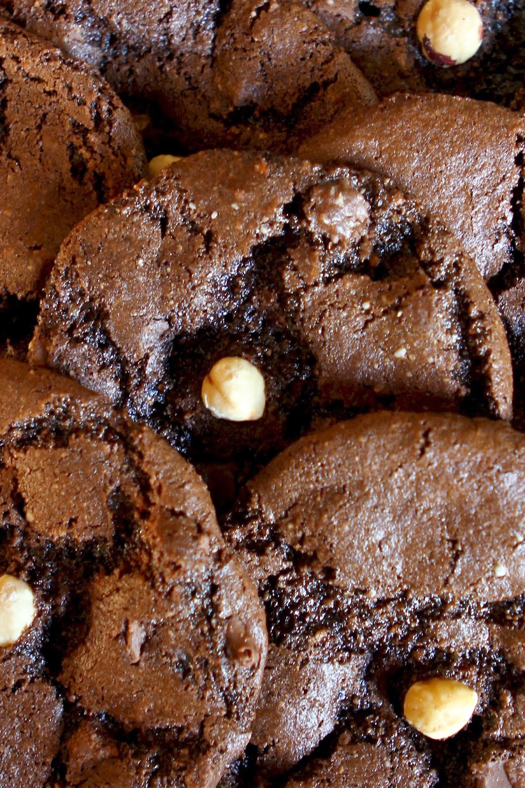 Gluten Free Alchemist Chocolate & Hazelnut Butter Cookies gluten