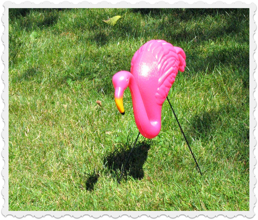 Musings from Kim K. Flamingo croquet...