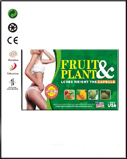 JUAL OBAT DIET FRUIT&PLANT l PELANGSING HERBAL ANEKA SARI BUAH ,081398577786  Fruit+%2526+plant+weight+loss+capsules