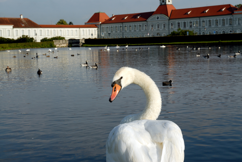 rencontre africaine avignon