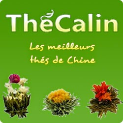 http://www.thecalin.com/