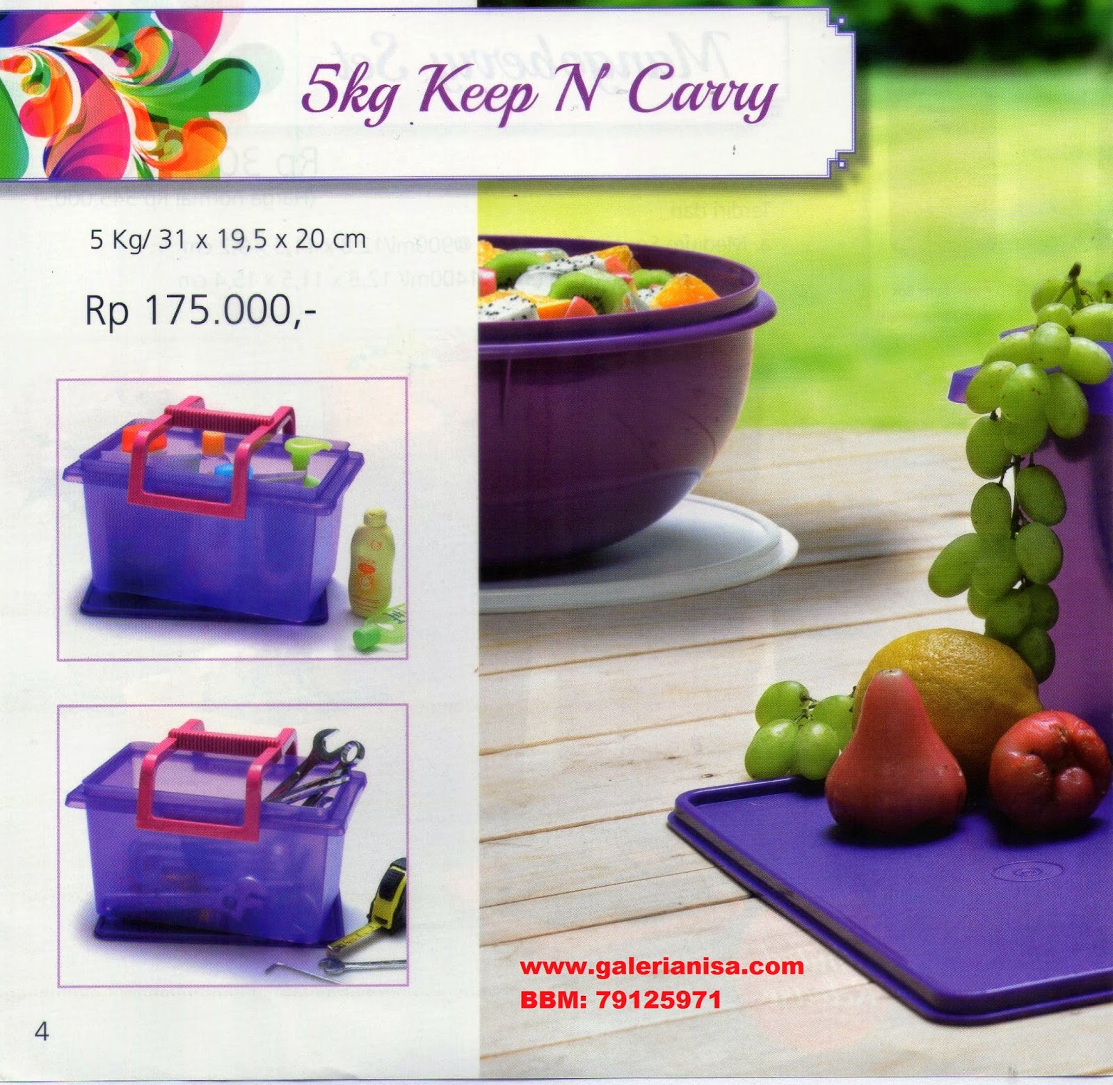 Tupperware Juli 2014 5 Kg Keep N Carry Pusat Belanja Tupperware