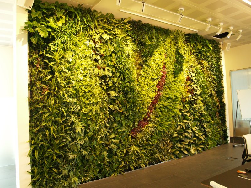 Jardim vertical harmonioso que enfeita a parede e deixa o espaço mais Jardim vertical harmonioso que enfeita a parede e deixa o espaço mais