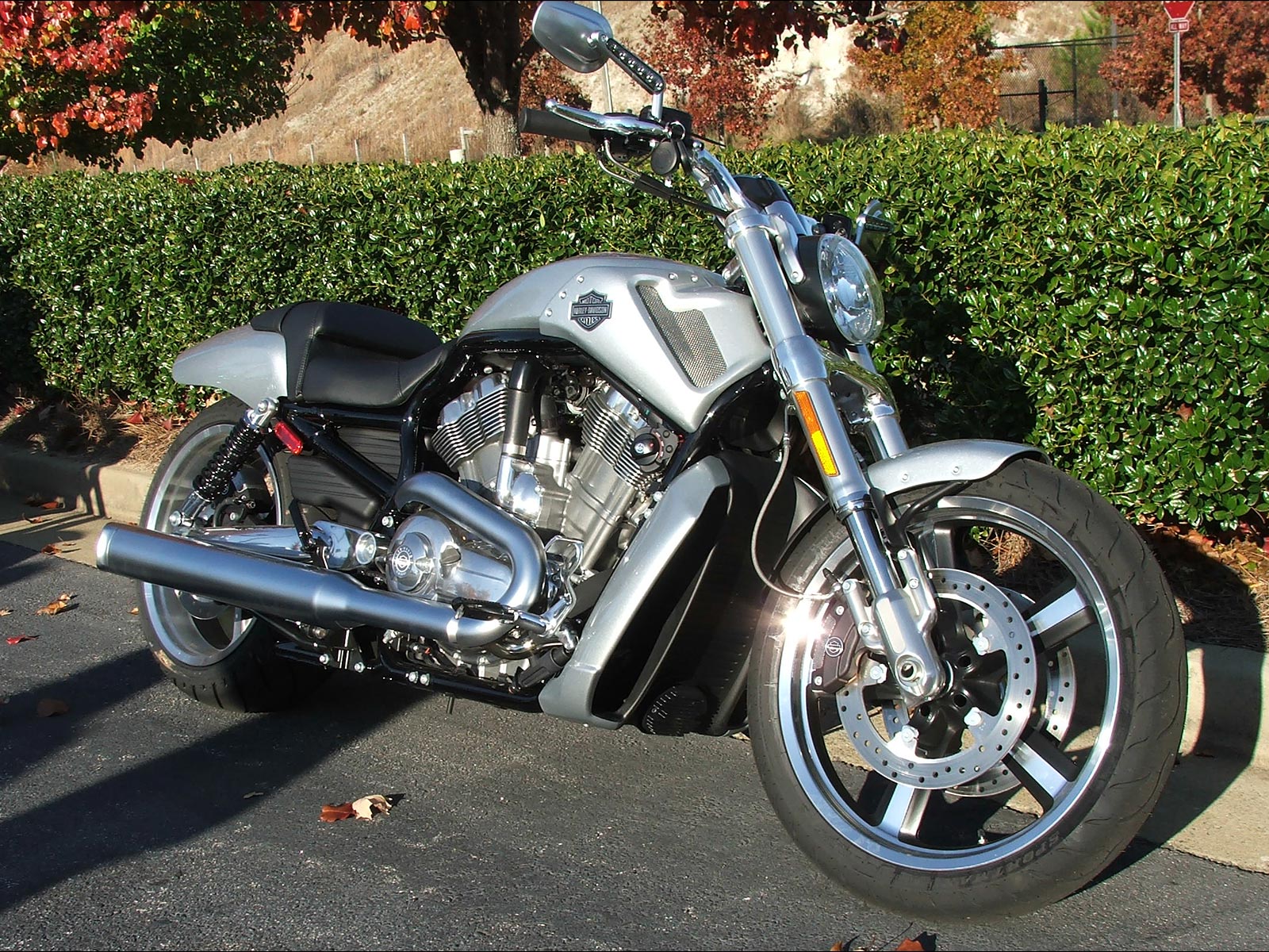 VRSCF VRod Muscle. 2009 HarleyDavidson pictures