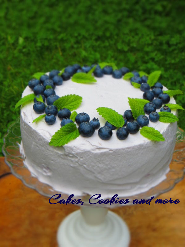 Himbeer Joghurt Torte Betty Bossi