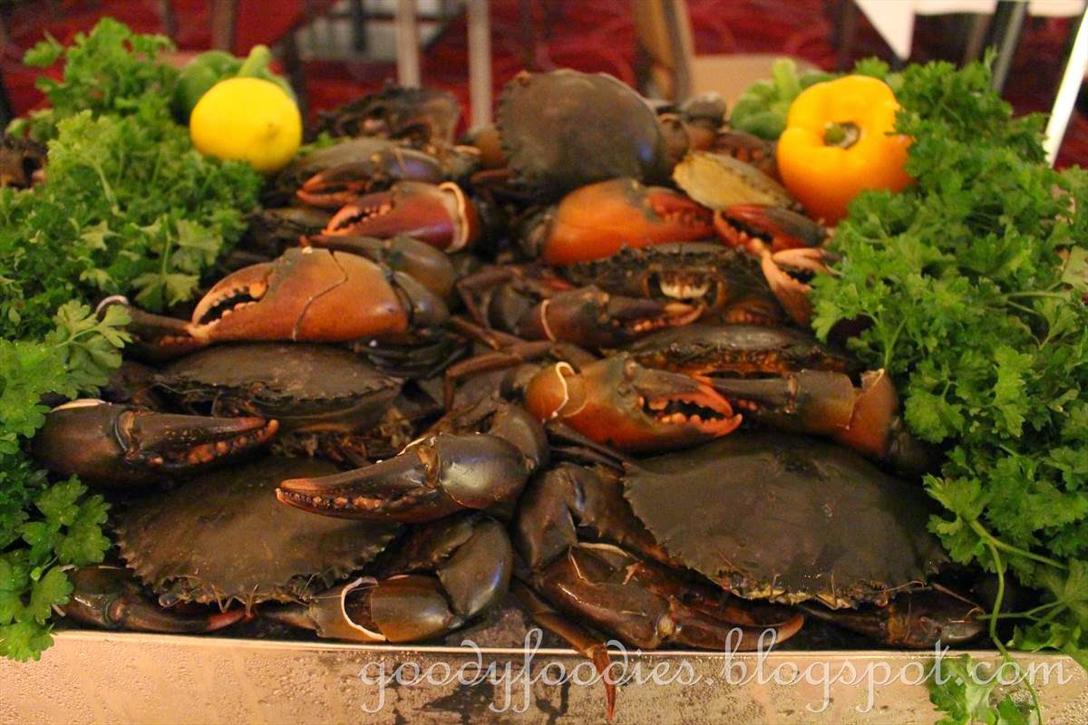 Mud City Crab Cake Company Forked River Mud City Crab Cake Company Forked River