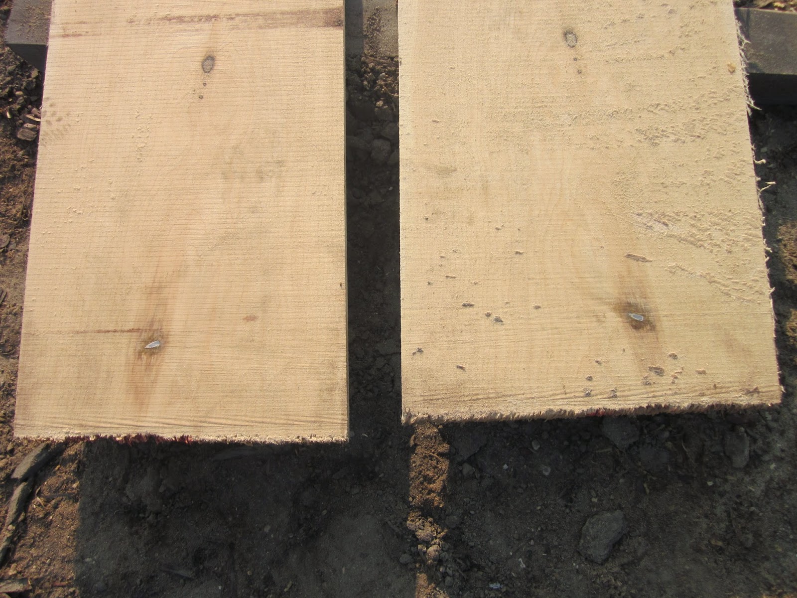 Wille Logging Lumber Amp Timber Wille Logging Lumber Amp Timber