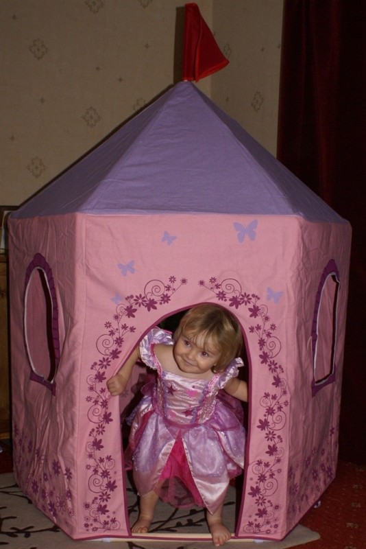 Managing The Mayhem Fairy Princess Tent Competition and Review