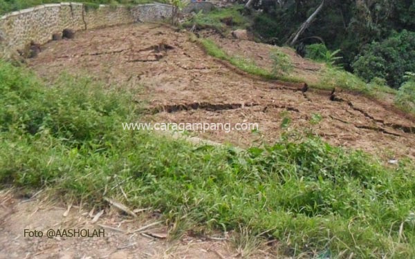 Bahan Organik Mempengaruhi Sifat Kimia dan Fisika Tanah