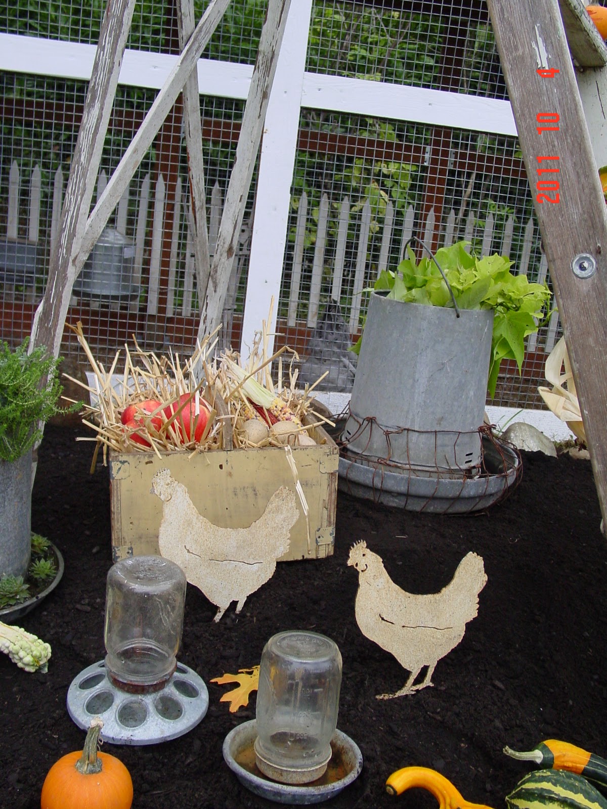 Shabby Chic Tiny Retreat The chicken coop is dressed for Fall