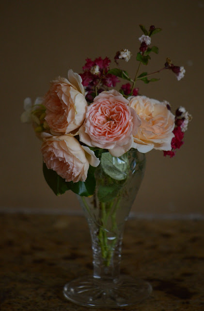Monday vase meme, English roses, rose "Crown Princess Margareta"