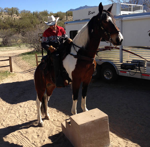 Camping and Horses Catalina State Park Equestrian Camping and