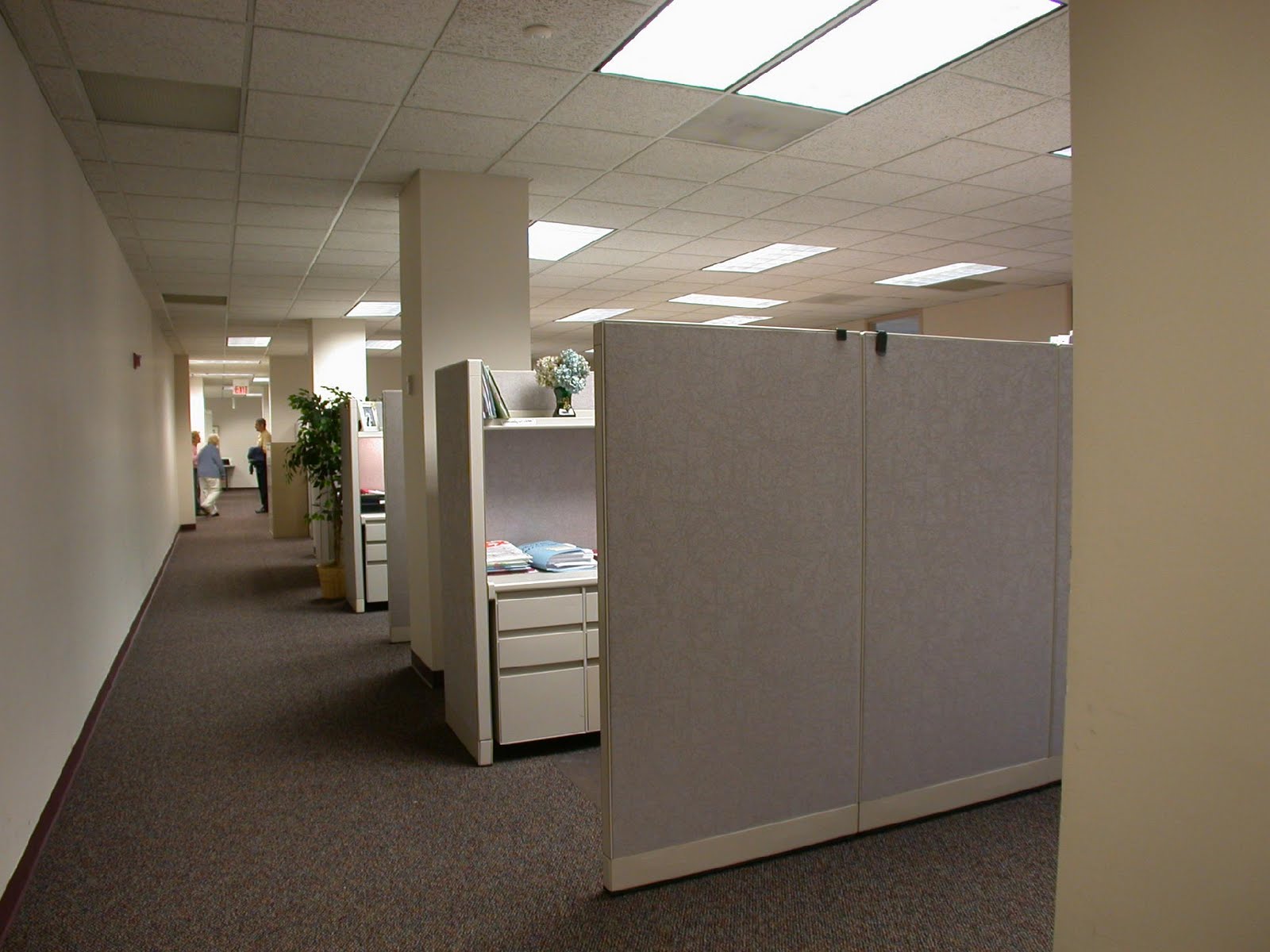 Flooring Idea Office Space