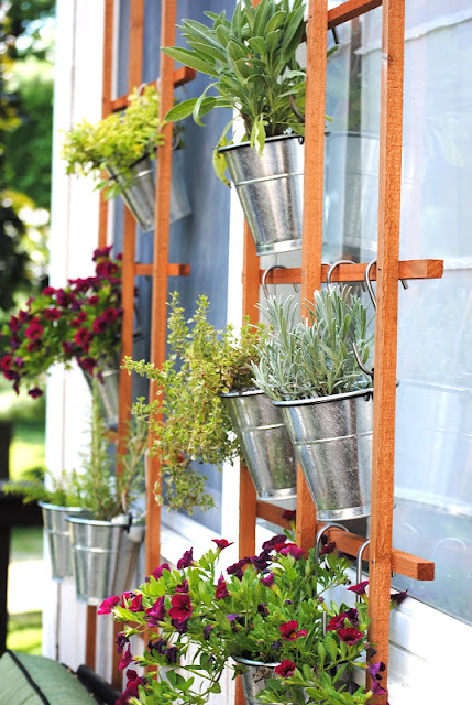 A lovely vertical herb garden trellis wall to dress up your windows, by making Lemonade, featured on I Love That Junk