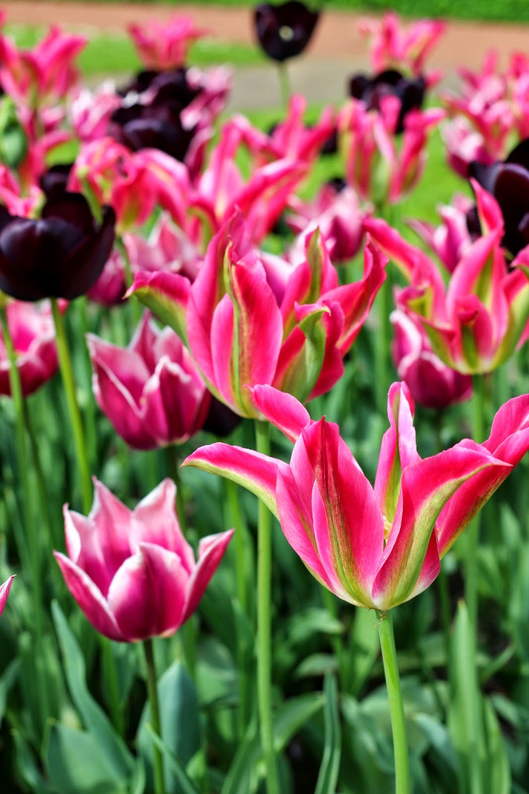 Naturmoden Steffi Hacke 06 01 2018 07 01 2018