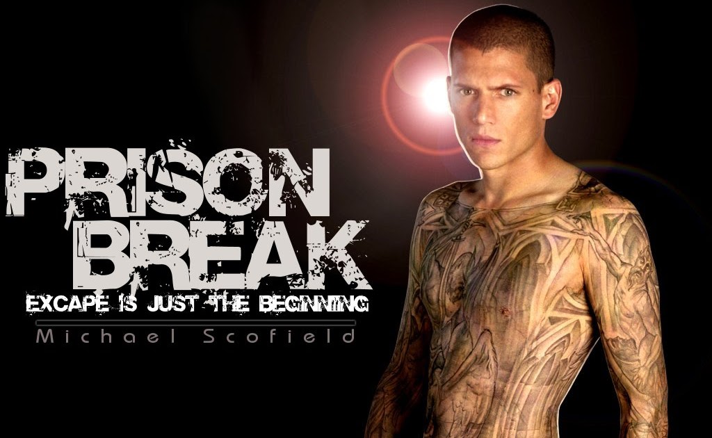 prison break season 1 year
