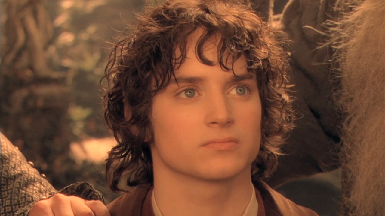 frodo3.jpg
