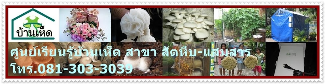 ศูนย์เรียนรู้บ้านเห็ดสาขาชลบุรี-สัตหีบ-แสมสาร,banhed,เพาะเห็ด,เครื่องให้น้ำอัตโนมัติ