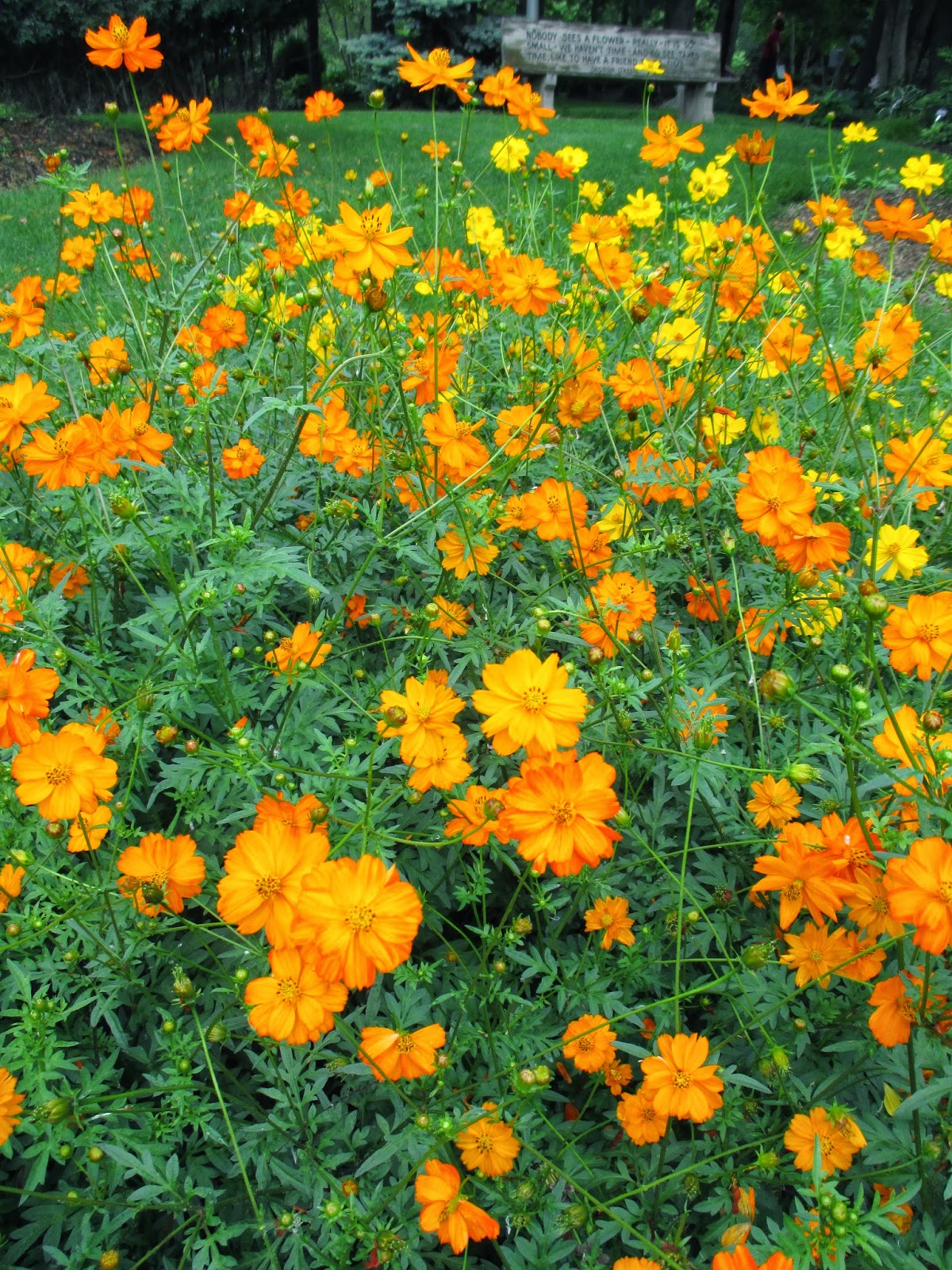 Rotary Botanical Gardens - Hort Blog: June 2014