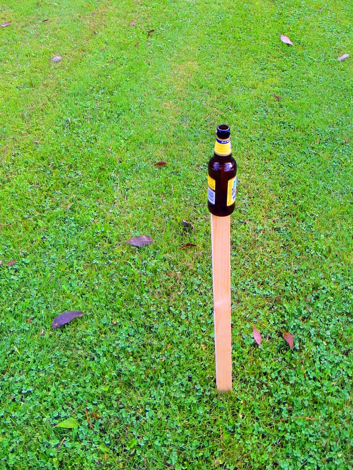 Joe's Retirement Blog Beer Frisbee, Connecticut, USA