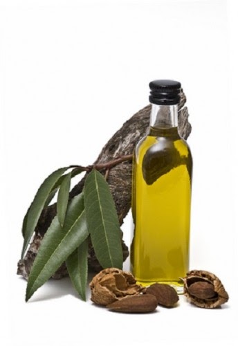 diy rememdies for itch relief for dogs acv diy rememdies for itch relief for dogs acv