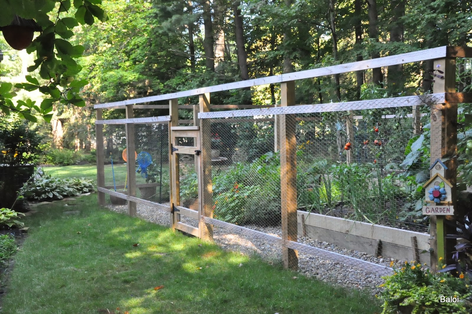 Gardeners with kids The vegetable garden fence