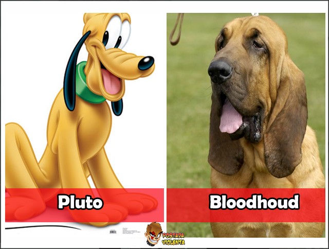 A raça do Pluto