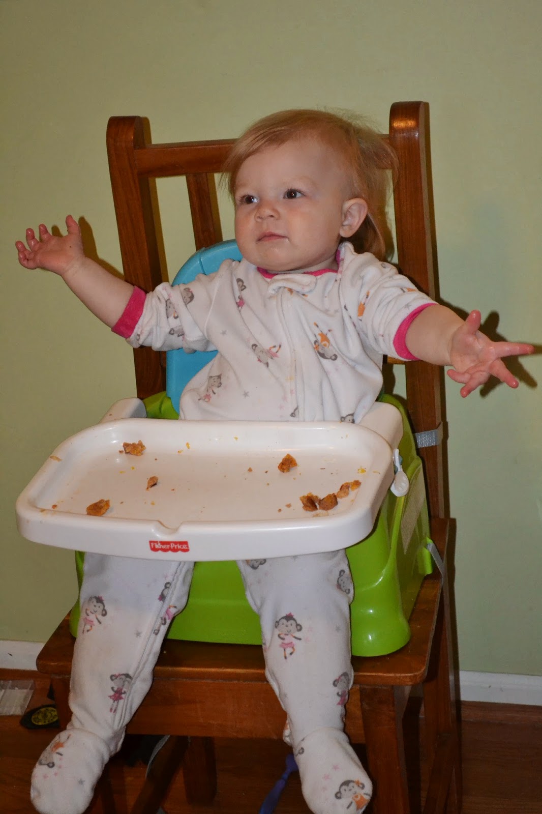 A Month of Dinners for a 15 Month Old