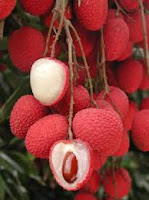 Terapi Alami Buah Leci