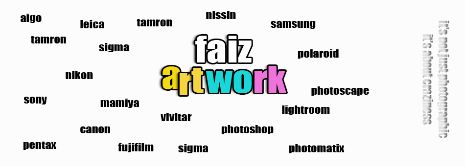 faizArtwork