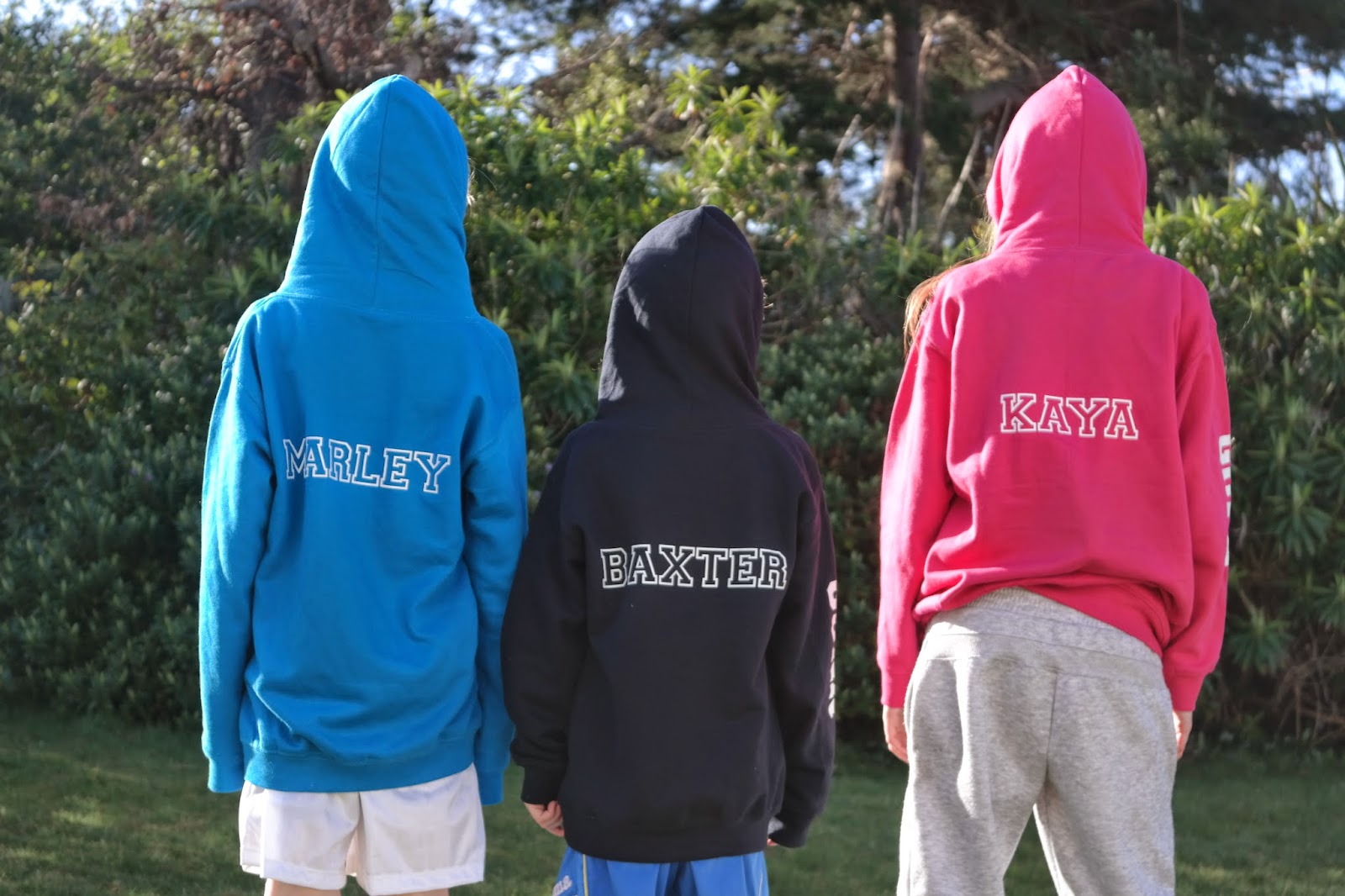 Kate Takes 5 LeaversHoodies A review