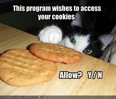 Lol Cats Cookie