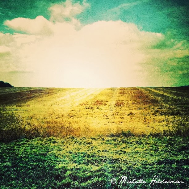 Sometimes Barren Fields Are Most Beautiful The Ragamuffin Saint