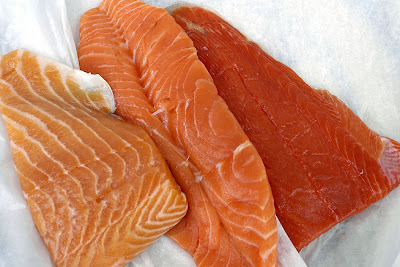Salmon, salmon fish,
