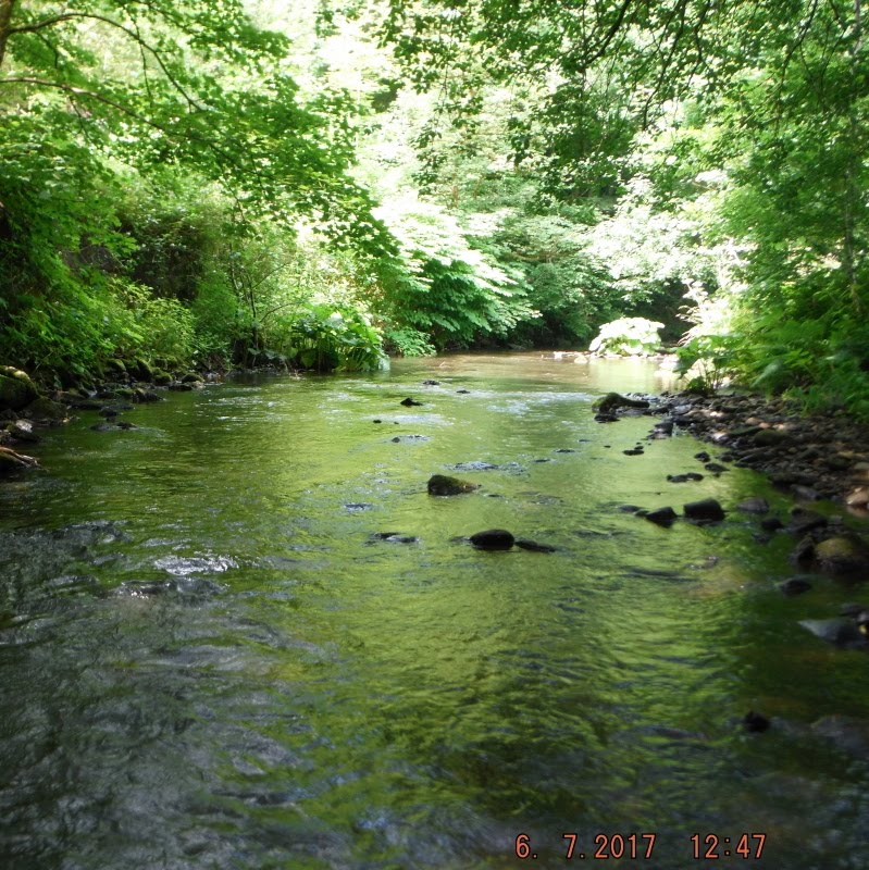 Flyfishing the River Irwell and other Streams.