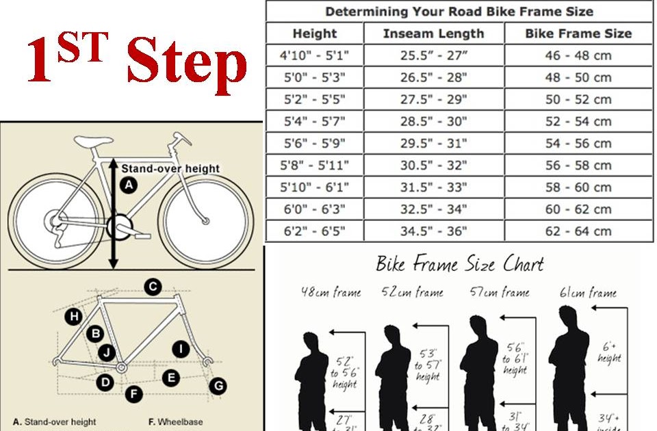 WeCyclist How To Select A Road Bike Sizing and Fit
