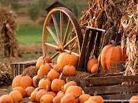 Autumn Pumpkins