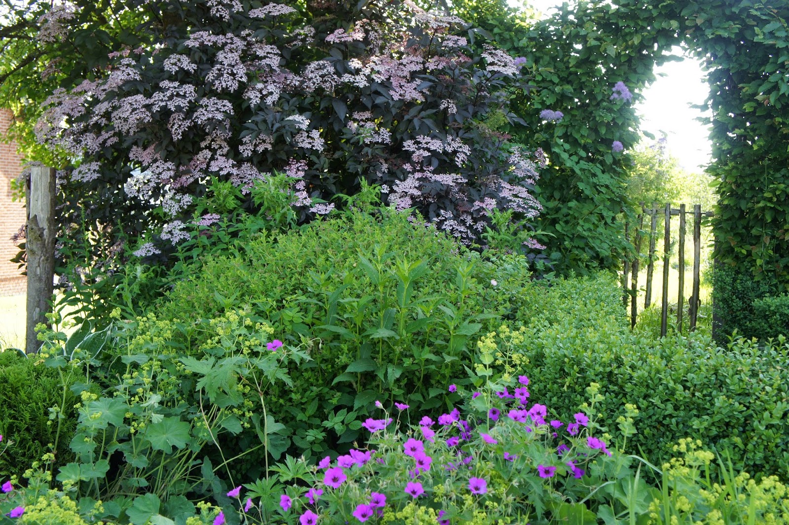 Cagouille S Garden Janvier 2019