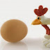 Which came first chicken or the egg ? Scientists have the answer!