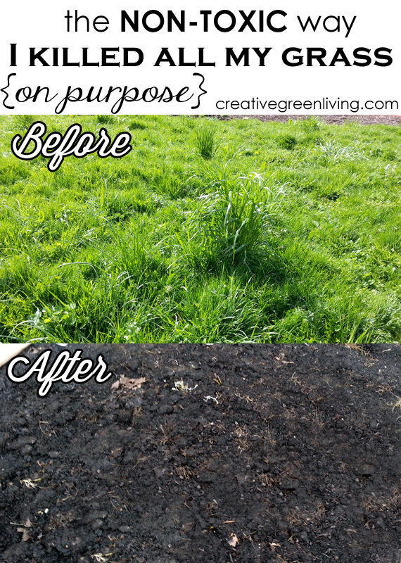 The NonToxic Way I Killed All My Grass (On Purpose!) Page 3