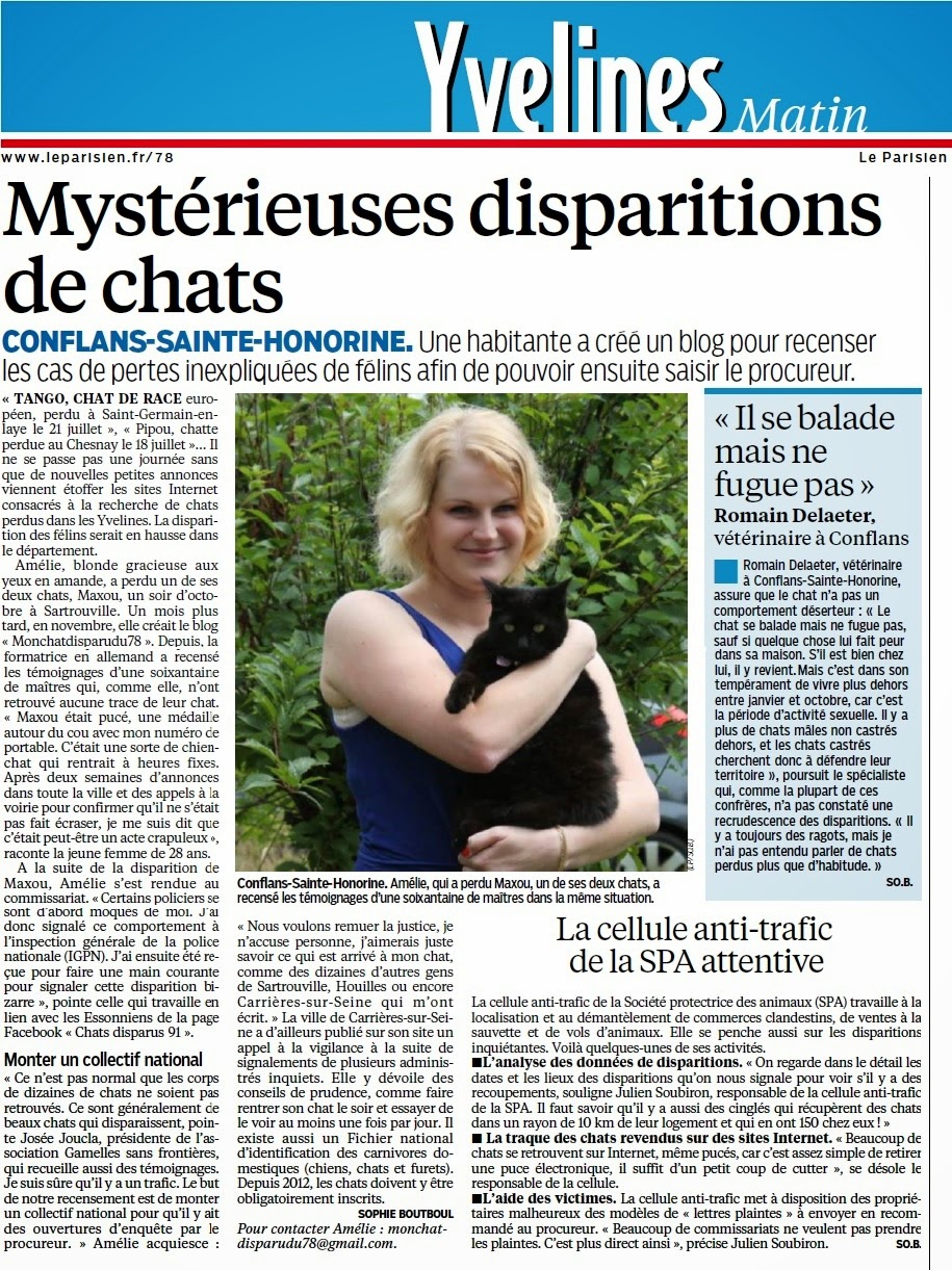 chat le grand quevilly