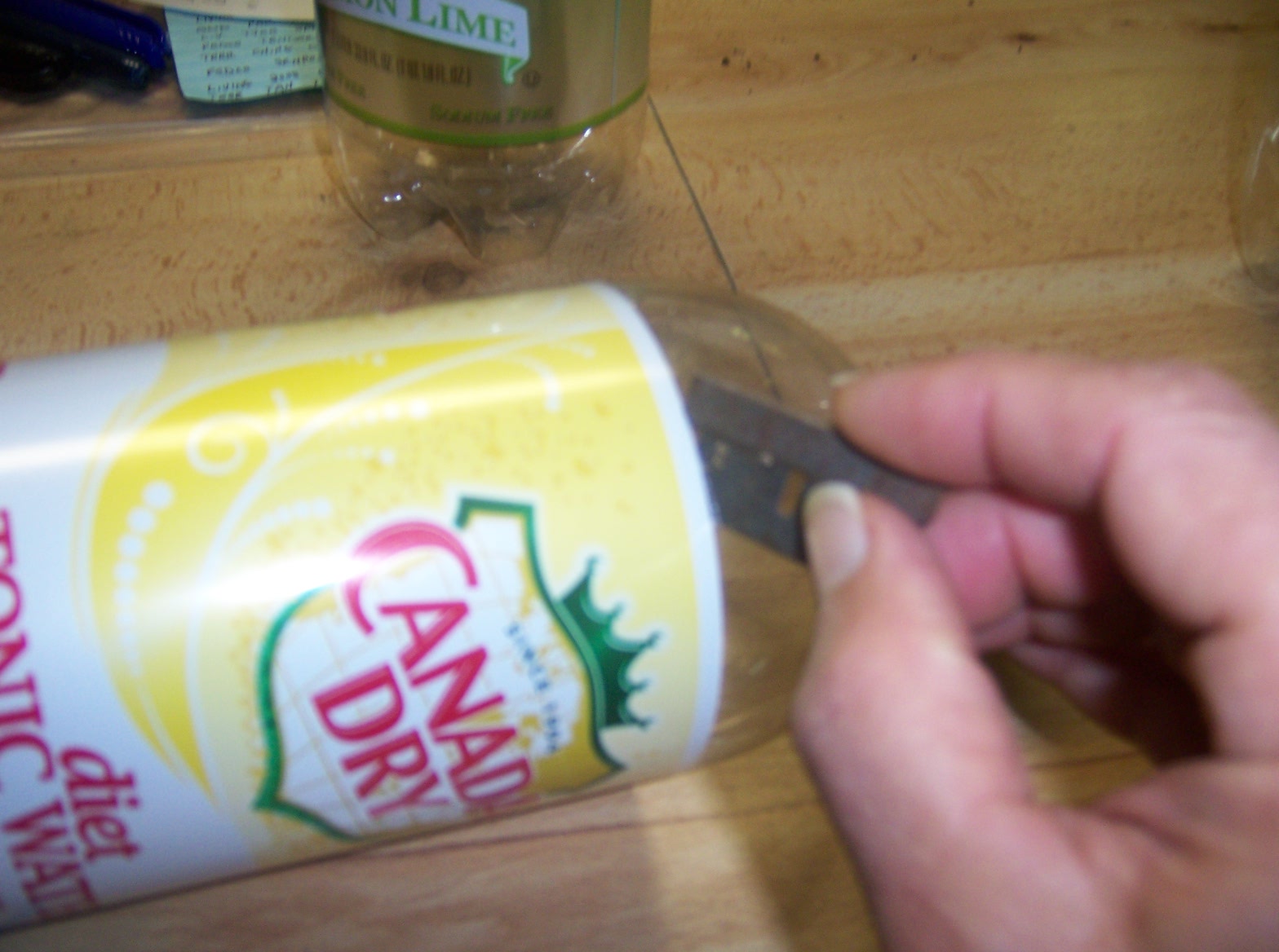 From Seed to Scrumptious Homemade Plant Labels