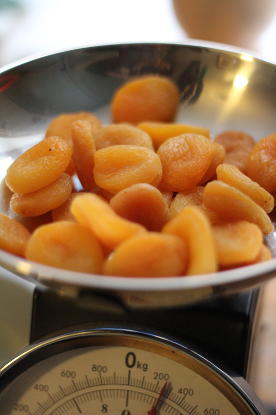 Fruity Healthy Snack Balls Archie and the Rug