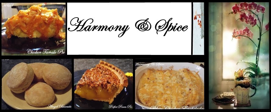 Harmony & Spice