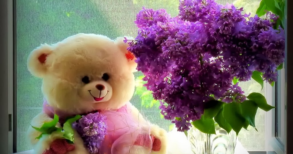 Imágenes y fondos HD: Bear and flowers