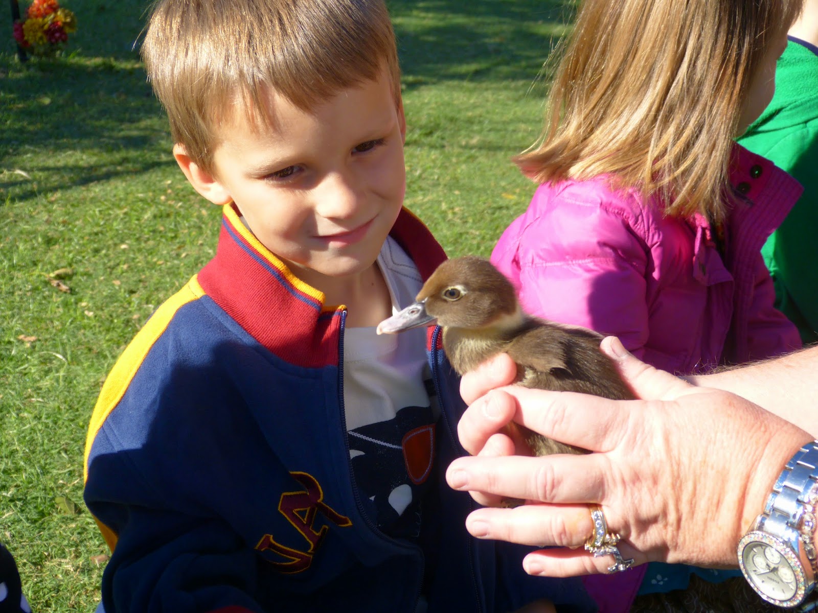 Paula's Primary Classroom Lowes Miniature Farm Field Trip!