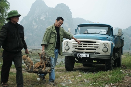 Phim về nạn giết mổ chó ở Việt Nam đoạt giải "Oscar của Brazil"
