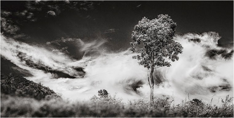 emerging photographers, Best Photo of the Day in Emphoka by Harald Kobler, https://flic.kr/p/qqmCXC emerging photographers, Best Photo of the Day in Emphoka by Harald Kobler, https://flic.kr/p/qqmCXC