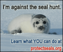 Protect seals