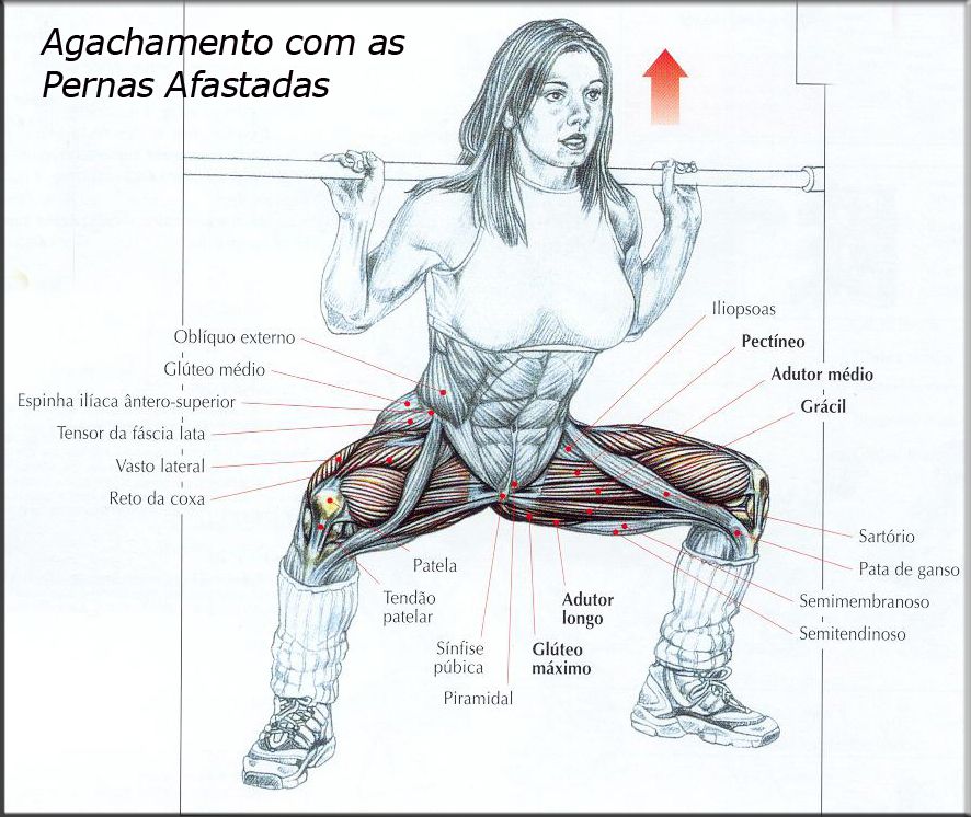 agachamento sumo barra guiada 